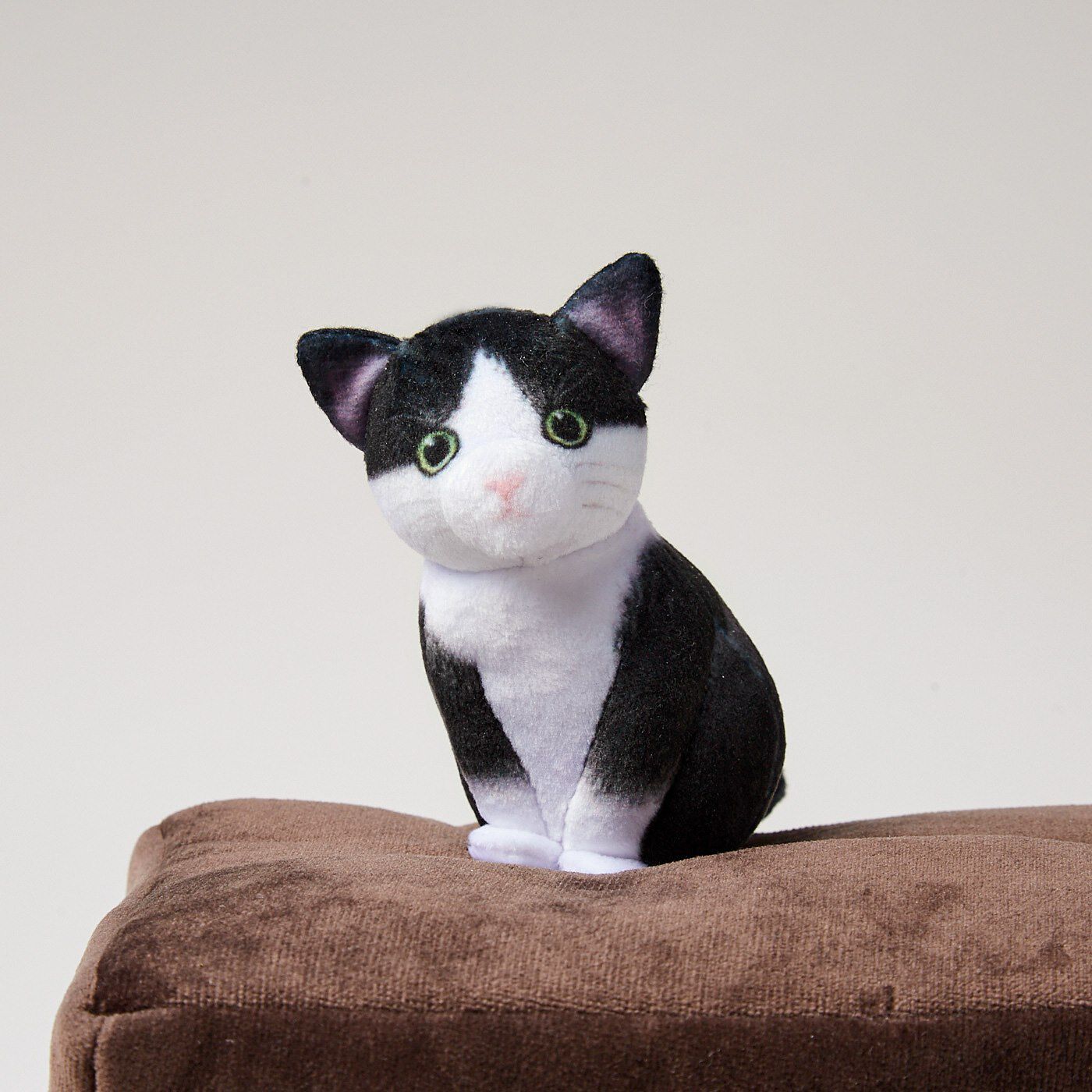 🇯🇵日本 小貓玩捉迷藏面紙盒套 Kitten hide-and-seek box tissue cover