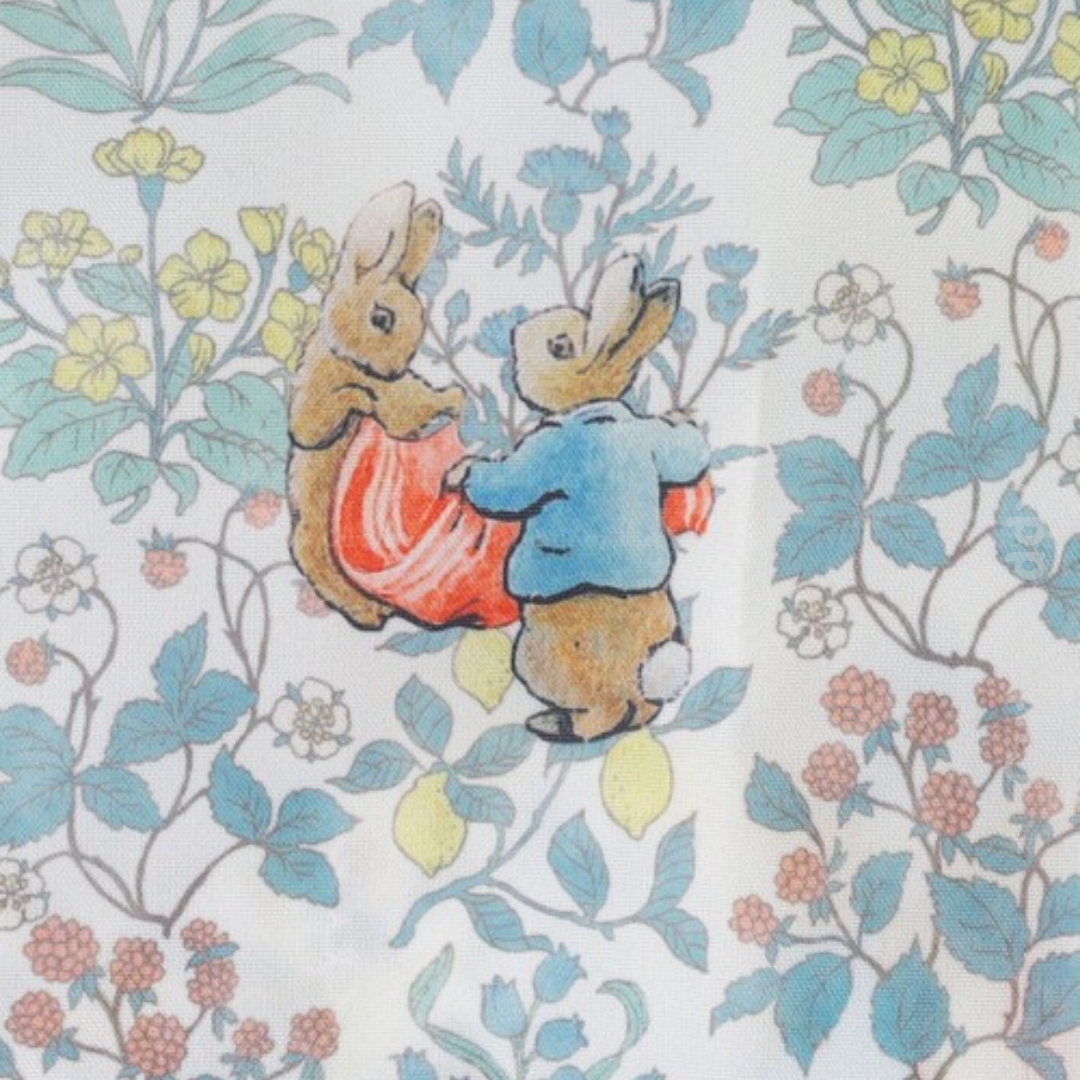 🇯🇵Japanese PETER RABBIT Liancheng limited household products series - eco bag eco bag コンパクトバッグ/ピーターラビット