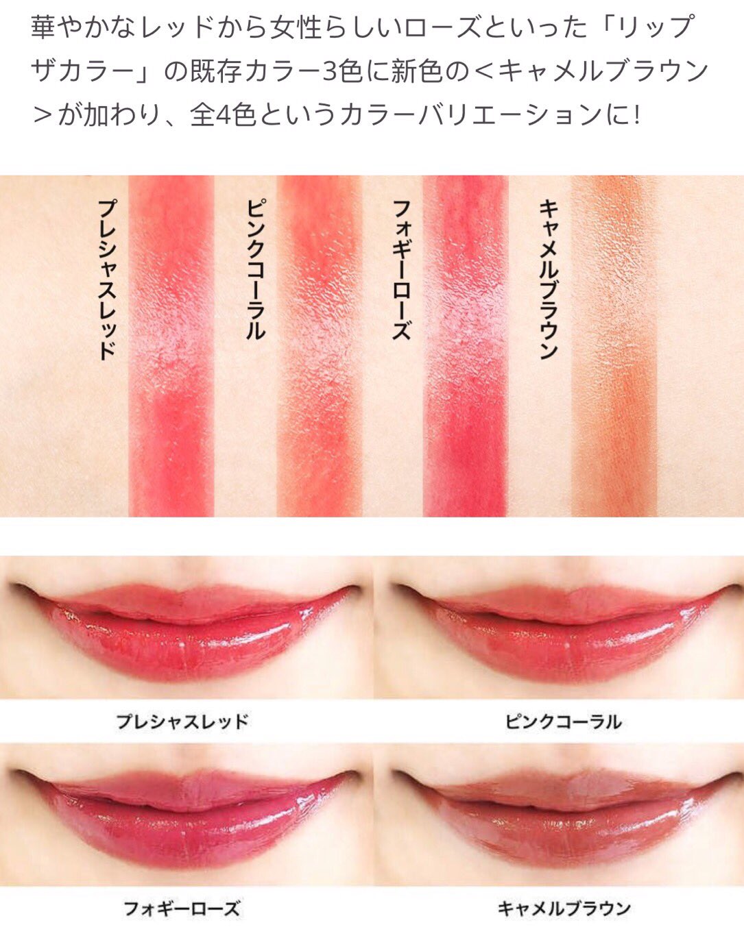 🇯🇵JAPAN ROHTO The Lip Color Camel Brown SPF26 PA+++ 樂敦有色潤唇膏 リップザカラー キャメルブラウン