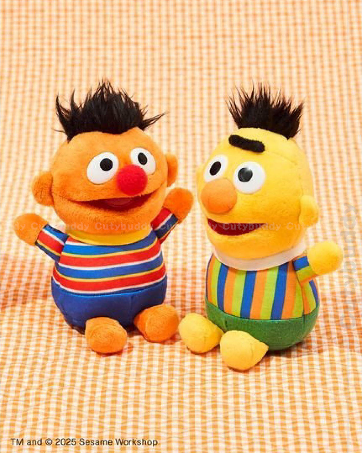 🇯🇵日本 ♡限定 芝麻街Q版BB公仔 Sesame Street Market BB Doll セサミストリートマーケット ベビーぬいぐるみ