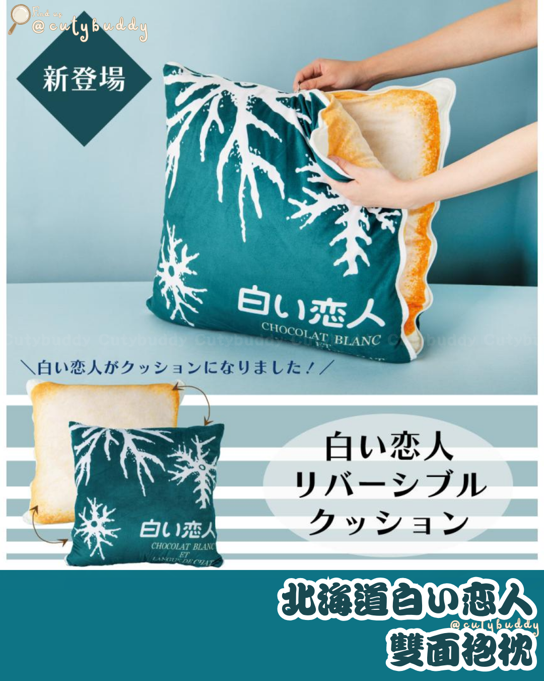 🇯🇵日本 ♡ Shiroi Koibito (White Lover) Cushion 北海道白い恋人雙面抱枕