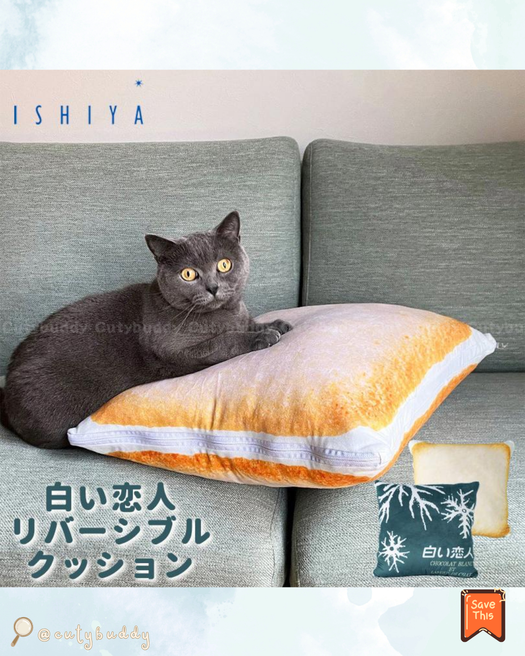 🇯🇵日本 ♡ Shiroi Koibito (White Lover) Cushion 北海道白い恋人雙面抱枕